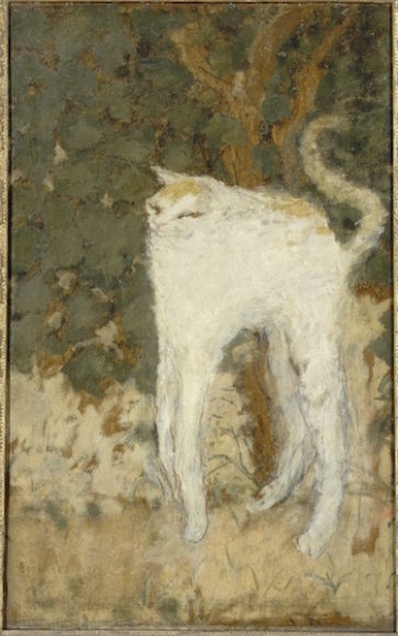 ピエール・ボナール《白い猫》