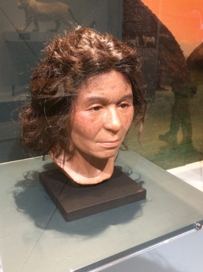 ゲノム情報によって復元された縄文人女性の顔